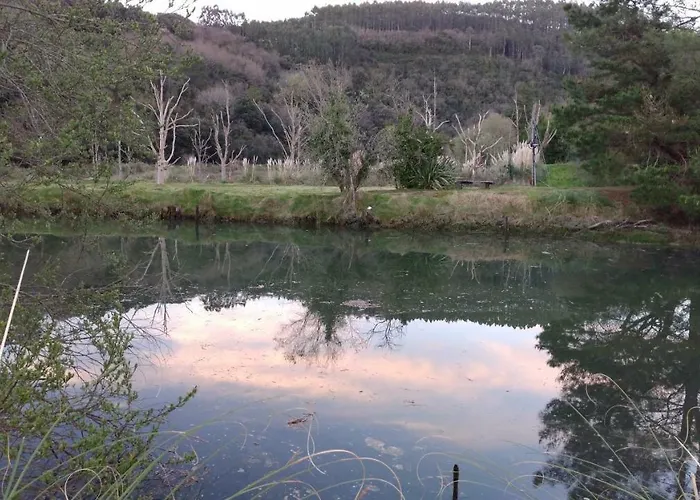 Hillside View